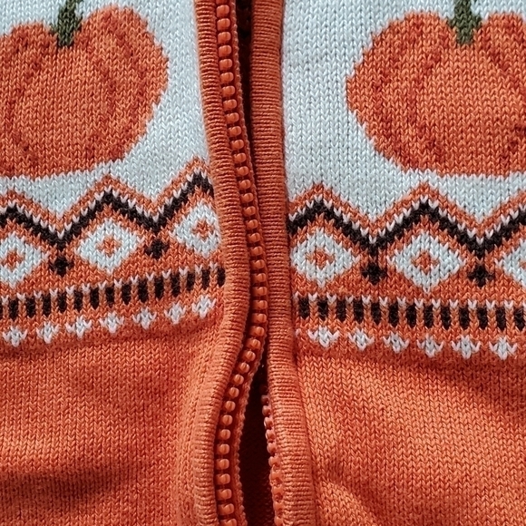 Gymboree Orange Pumpkin Sweater Lil's Pumpkin Collection Hooded Zip Up Sweater - Picture 5 of 14